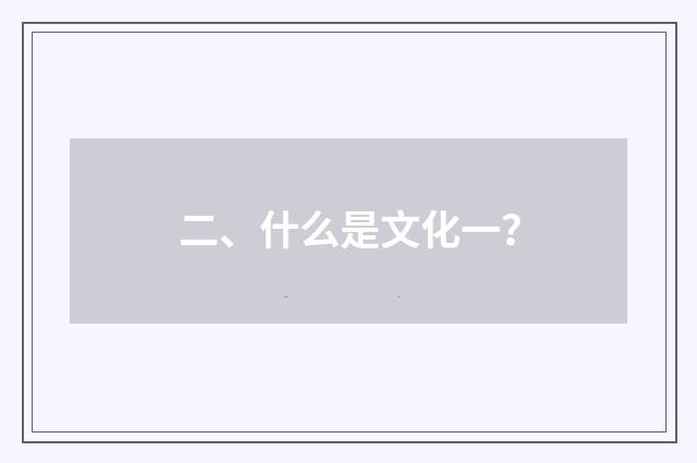 二、什么是文化一？