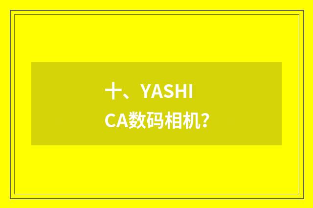 十、YASHICA数码相机？