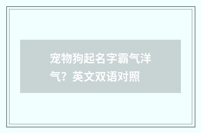 宠物狗起名字霸气洋气？英文双语对照