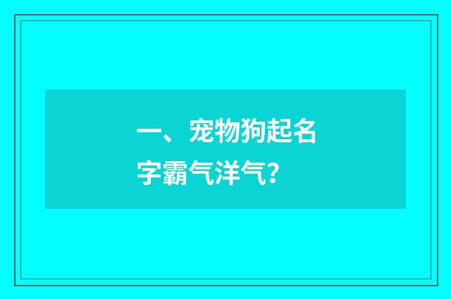 一、宠物狗起名字霸气洋气？