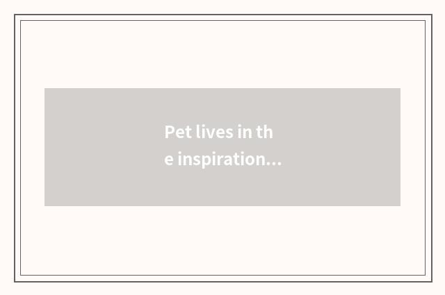 Pet lives in the inspirational origin of the design