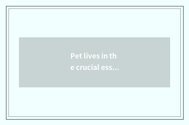 Pet lives in the crucial essential factor of the design