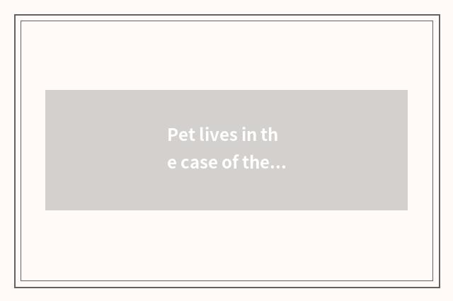 Pet lives in the case of the design to share