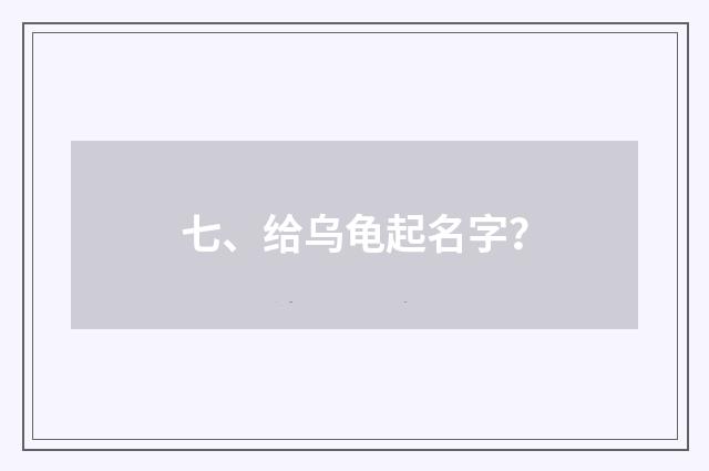 七、给乌龟起名字？