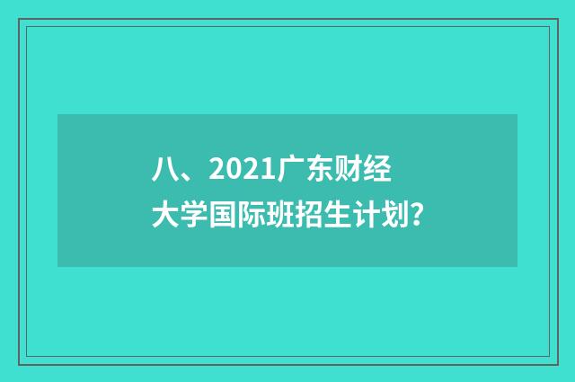 八、2021广东财经大学国际班招生计划？