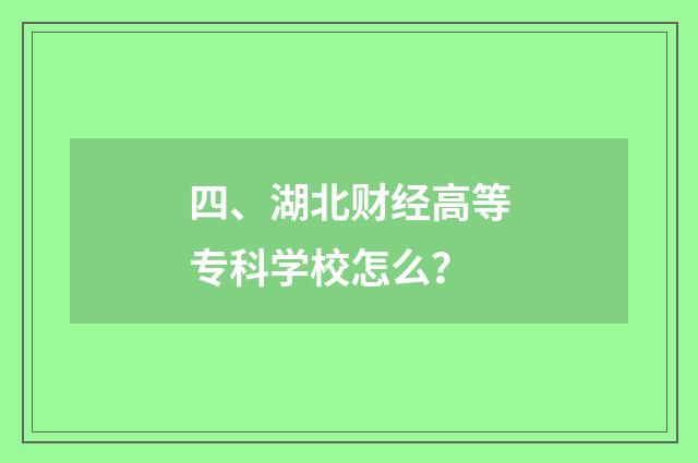四、湖北财经高等专科学校怎么？