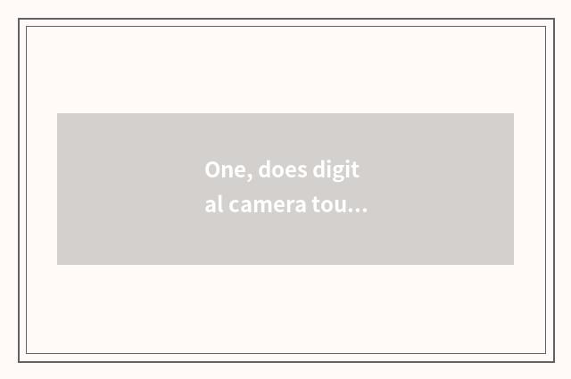 One, does digital camera touch screen?