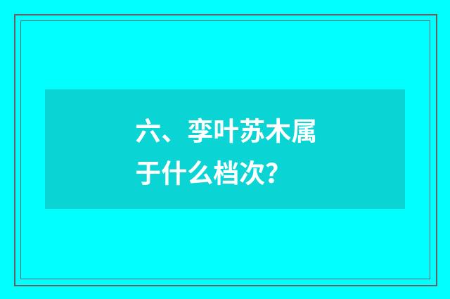 六、孪叶苏木属于什么档次?