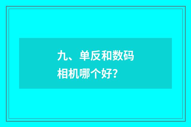 九、单反和数码相机哪个好？