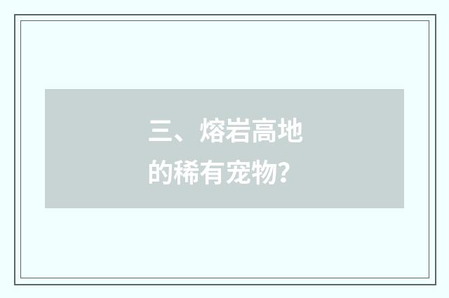 三、熔岩高地的稀有宠物？