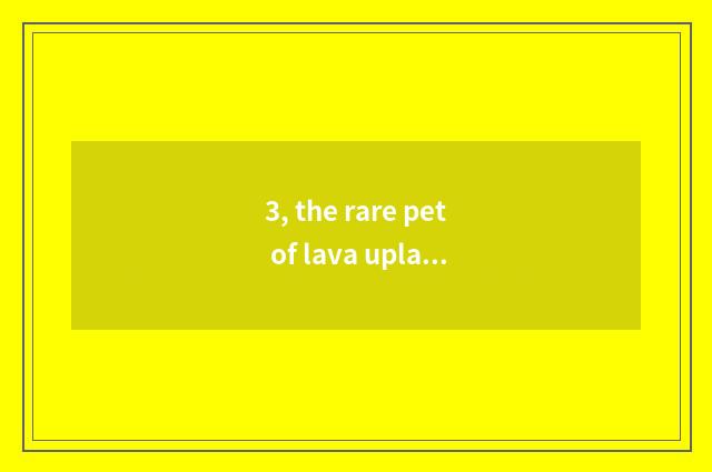 3, the rare pet of lava upland?