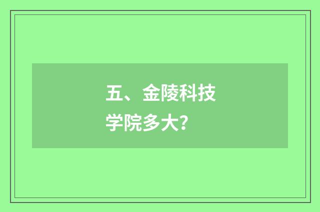 五、金陵科技学院多大？