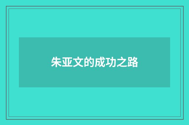 朱亚文的成功之路