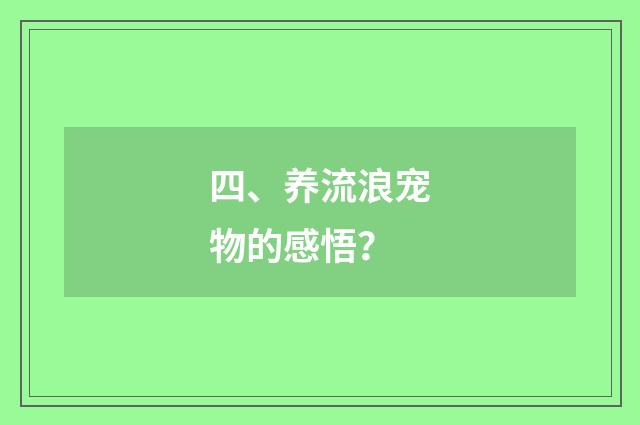 四、养流浪宠物的感悟？