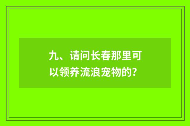 九、请问长春那里可以领养流浪宠物的？