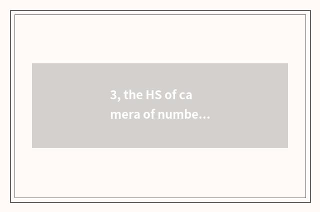 3, the HS of camera of number of Ni Kang P500?