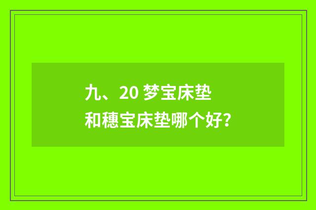 九、20 梦宝床垫和穗宝床垫哪个好？