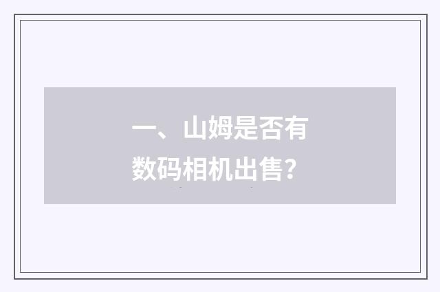 一、山姆是否有数码相机出售？