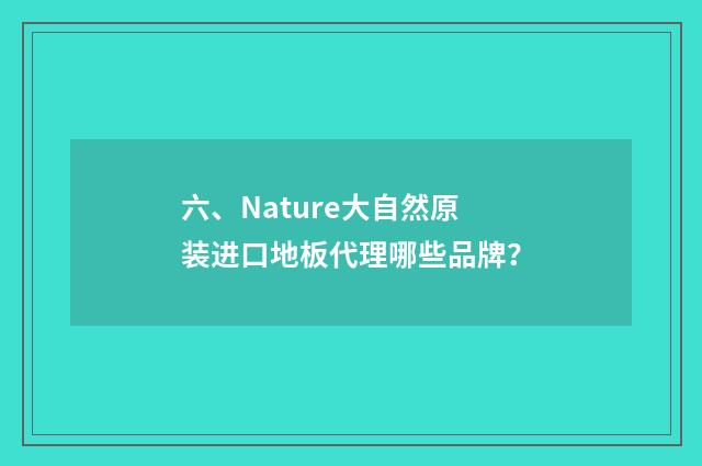 六、Nature大自然原装进口地板代理哪些品牌?