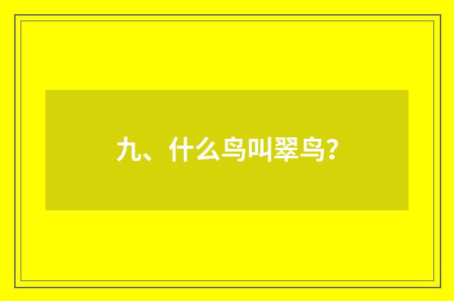 九、什么鸟叫翠鸟？
