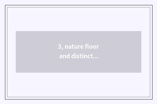 3, nature floor and distinction of entrance nature floor?