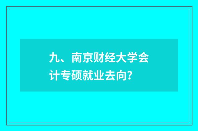 九、南京财经大学会计专硕就业去向？
