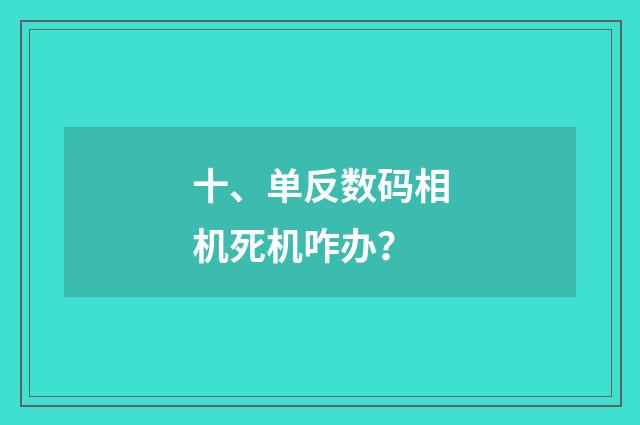 十、单反数码相机死机咋办？