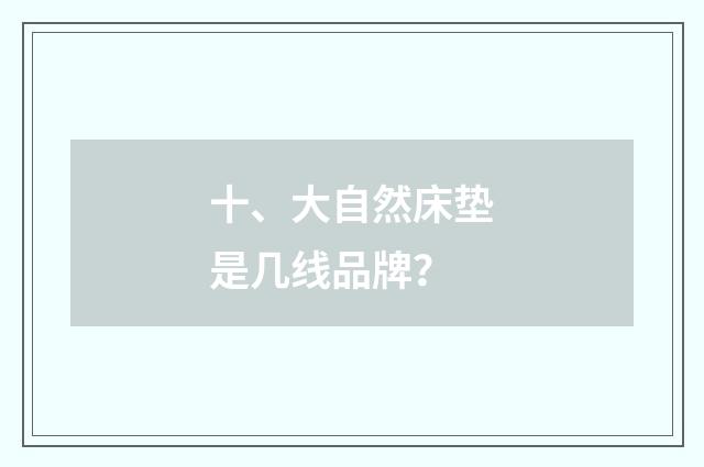 十、大自然床垫是几线品牌？