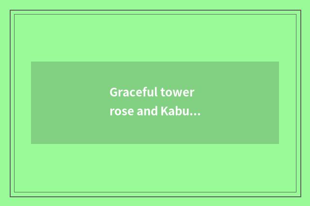 Graceful tower rose and Kabujinuo which expensive?