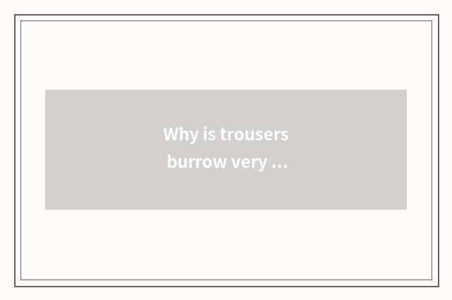 Why is trousers burrow very fashionable?