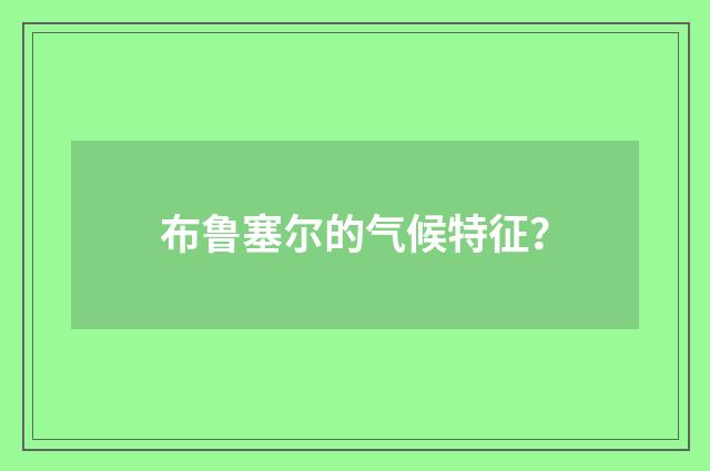布鲁塞尔的气候特征？