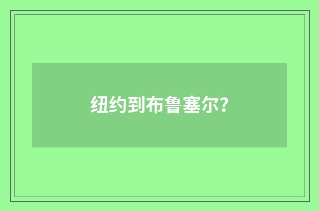 纽约到布鲁塞尔？