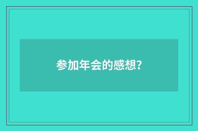 参加年会的感想？
