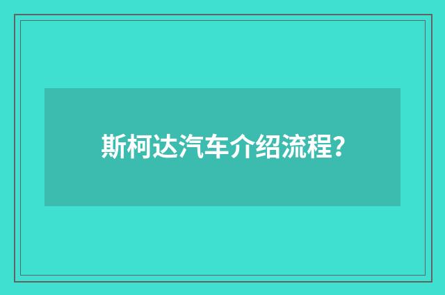 斯柯达汽车介绍流程？