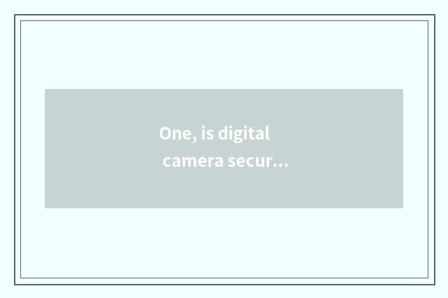 One, is digital camera security bought on the net?