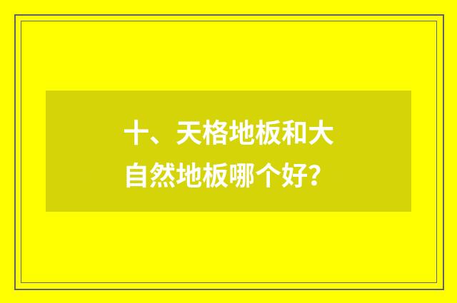 十、天格地板和大自然地板哪个好？