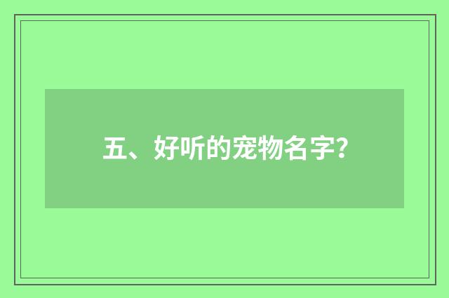五、好听的宠物名字?