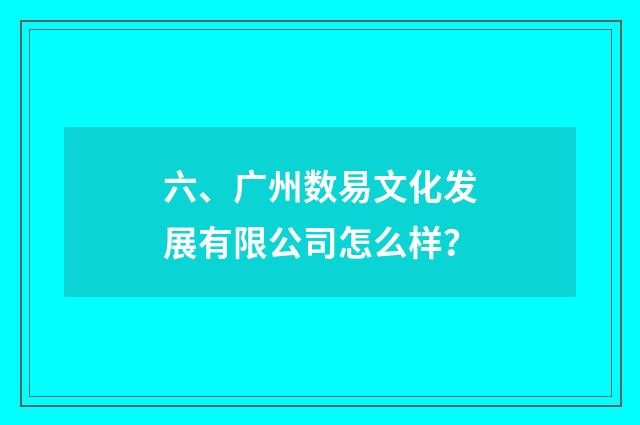 六、广州数易文化发展有限公司怎么样？