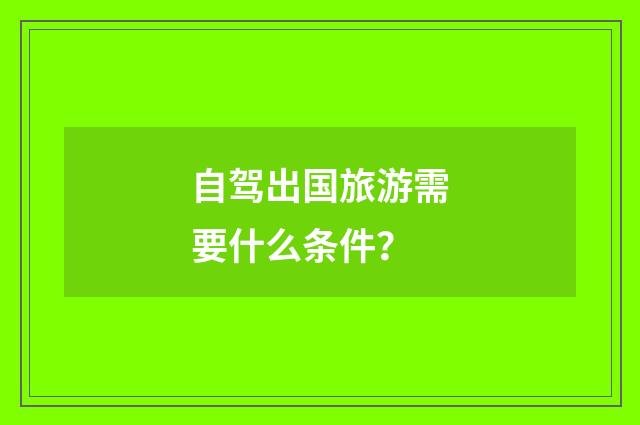 自驾出国旅游需要什么条件？