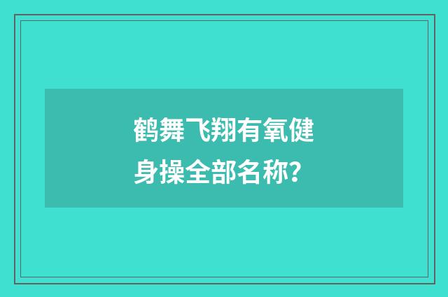 鹤舞飞翔有氧健身操全部名称？