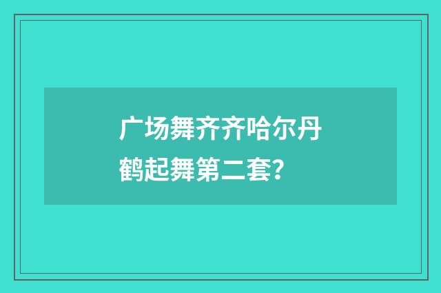 广场舞齐齐哈尔丹鹤起舞第二套？