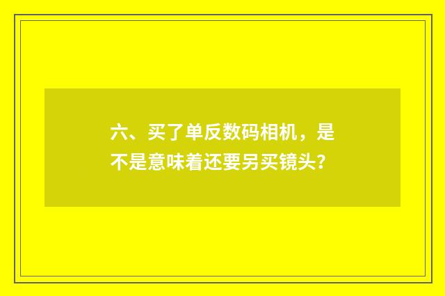 六、买了单反数码相机，是不是意味着还要另买镜头？