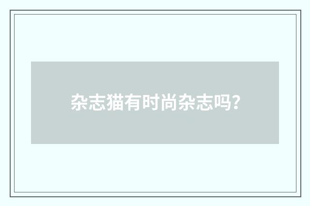 杂志猫有时尚杂志吗？