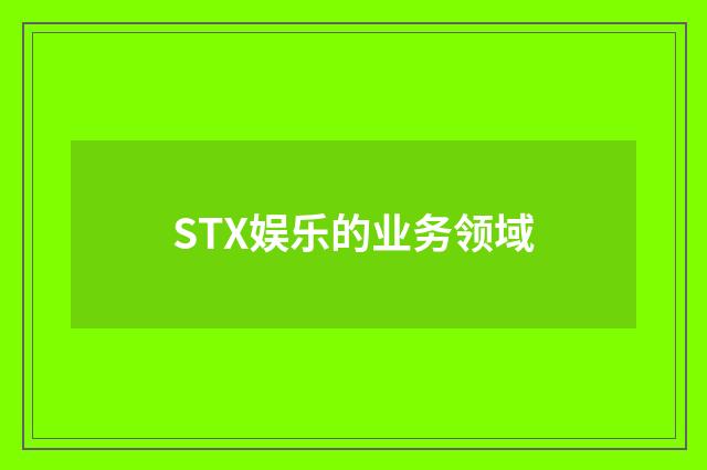 STX娱乐的业务领域