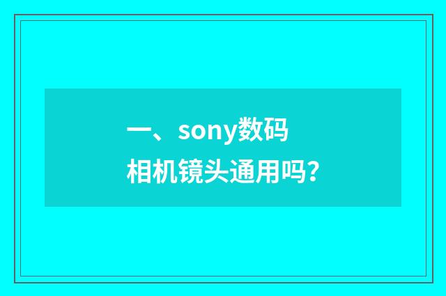 一、sony数码相机镜头通用吗？