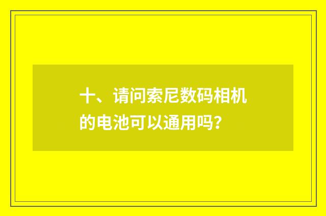 十、请问索尼数码相机的电池可以通用吗？