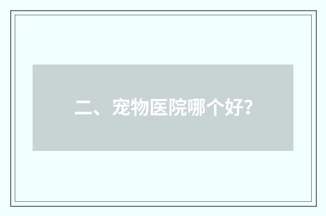 二、宠物医院哪个好?