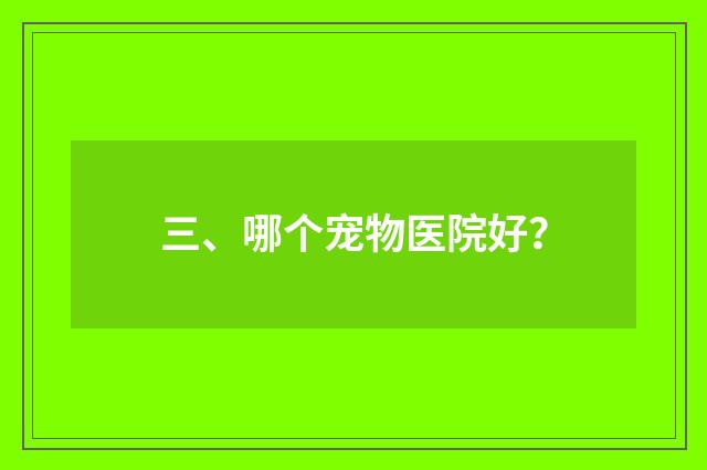 三、哪个宠物医院好？
