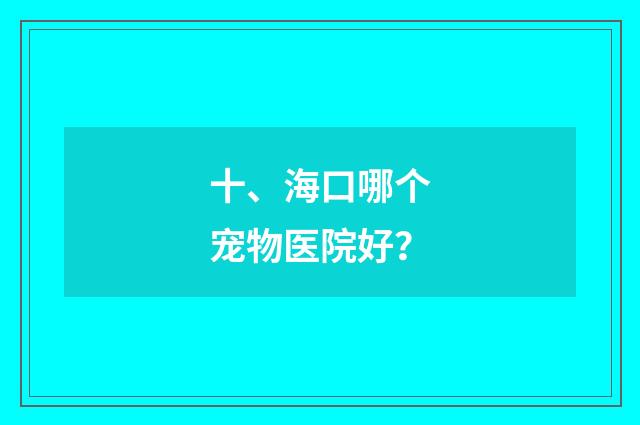 十、海口哪个宠物医院好?