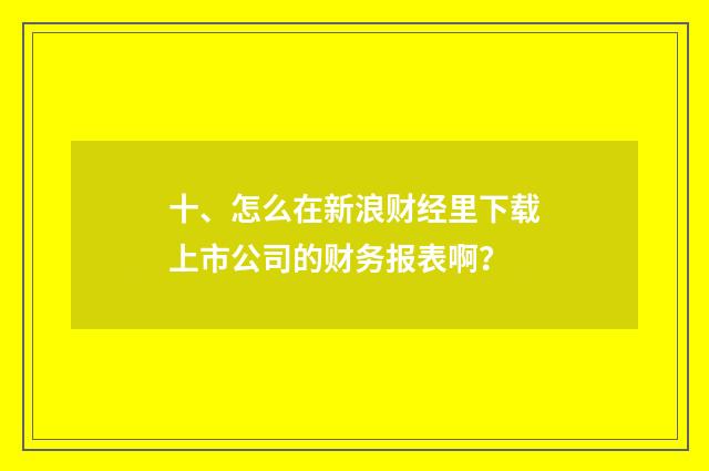 十、怎么在新浪财经里下载上市公司的财务报表啊？